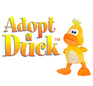 Adopt a Duck